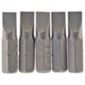 5pc 25mm 6.0mm p.slot.s/d bit