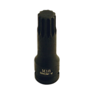 Spline Socket Bit 1/2"D M18