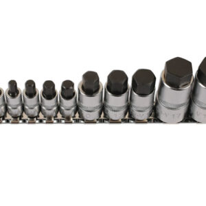 Hex Socket Bit Set 1/4"D, 3/8"D, 1/2"D 10pc