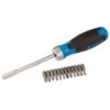 Ratchet Screwdriver (13 Piece)