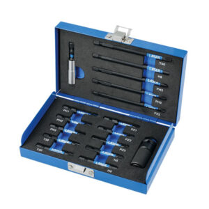 Torsion Bit Set 17pc